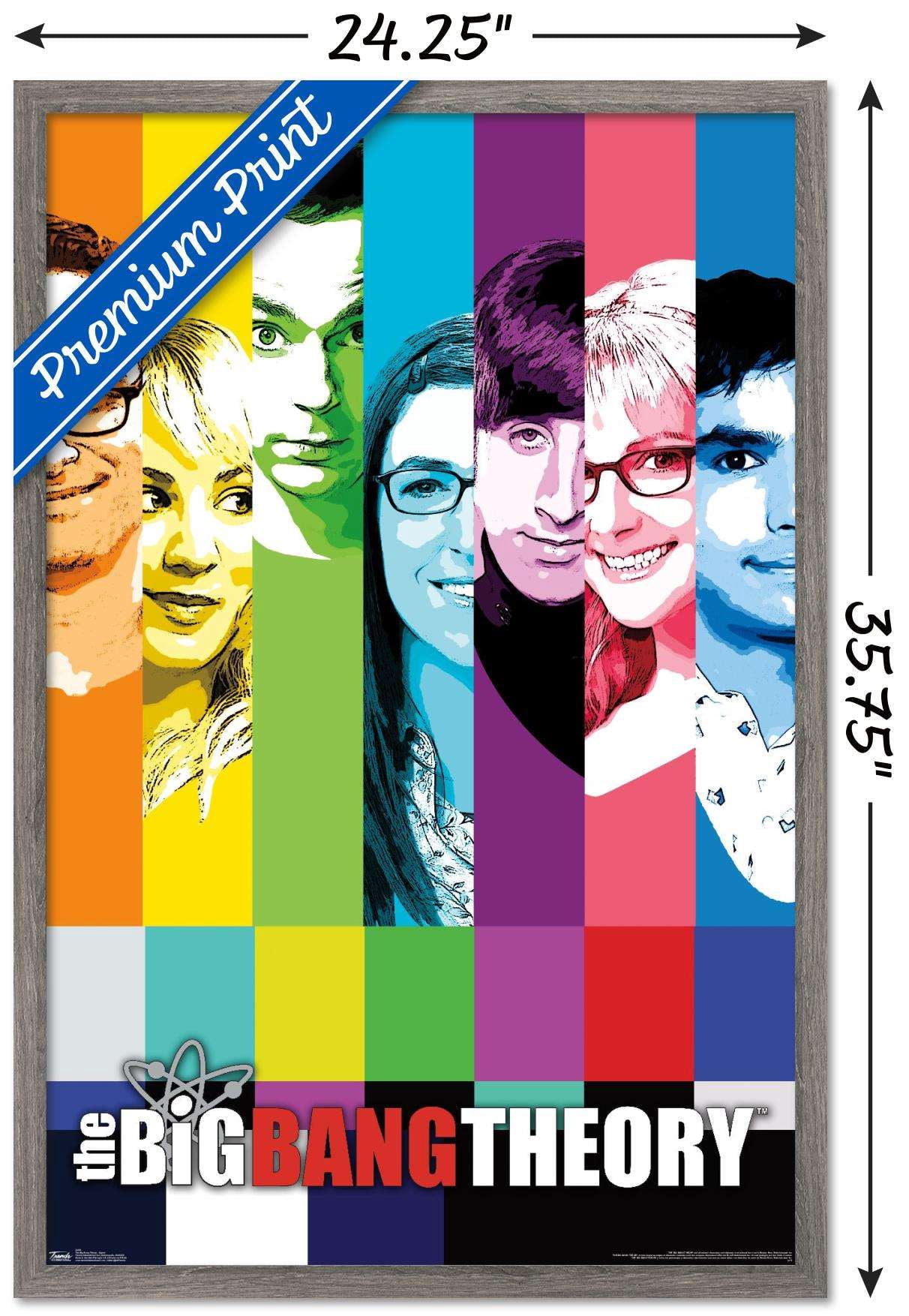 The Big Bang Theory - Signal Wall Poster, 22.375" x 34", Framed