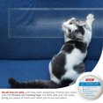 thumbnail image 3 of Amazon Hot Cat Anti-scratch Pet Sofa Transparent Anti-scratch Cat Training Protective Tape Wholesale, 3 of 5