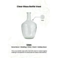 thumbnail image 4 of Serene Spaces Living 10" Clear Glass Bottle Vase -  for Coffee Table, Fireplace Mantel, Indoor Decorations, Long-Stemmed Plant Vase, Home Decor, Single, 4 of 6