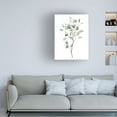 thumbnail image 3 of Grace Popp 'Seaglass Eucalyptus I' Canvas Art, 3 of 3