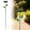 Green, variant on Zoxiy Mini Bird Bath,Metal Flower Garden Stakes Bird Bath,Garden Decor for Outside,Garden Bird Bath,Small Bird Baths for Outdoors Birdbath Set,for Bird Lovers Garden Spring Decoration,Purple,1PC