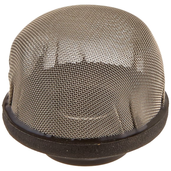 Pentair 172855 0,25-Inch Stainless Steel Air Vent Strainer Replacement Pool and Spa D.E. Filter