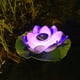 thumbnail image 4 of Lámpara flotante para piscina, luces solares de loto, impermeable, LED, linterna de jardín de flores, lámpara solar, flor de loto, lámpara flotante solar para jardín al aire libre, linterna púrpura, 4 of 5