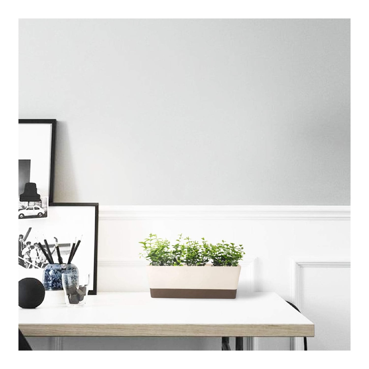 Windowsill Herb Planter Box,QZS Portable Herb Succulents Flowers Plastic Pot for Indoor,12x3.8x4.6In Plastic Vegetable Planter for Porch