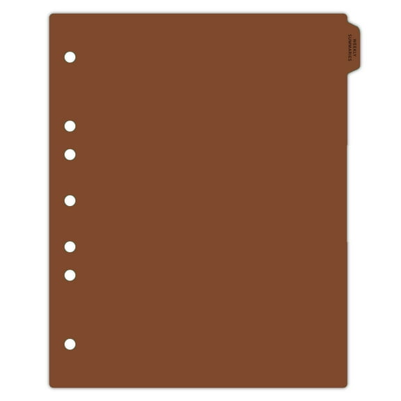 Carstens - Heavy Duty Weekly Summaries Plastic Ring Binder Dividers, Side Tab, 1/9 Cut, Tab 1 Position, US Letter, Pack of 10, (2620-63) - Ideal Medical Chart Dividers for 3 Ring Binders