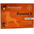 thumbnail image 1 of Bayer Dermoscent Essential 6 Spot On para el cuidado de la piel de perros pequeños, 1 of 1