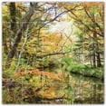 thumbnail image 1 of Picture-Tiles.com: Autumn Ceramic Tile Wall Mural WAL500041-55L. 40"W x 40"H using (25) 8" x 8" Ceramic Tiles-Satin Finish, 1 of 3