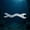 12, variant on Zeiwohndc Dives Gear Maintenance Repair Tool Underwater Maintenance Wrench For Diver