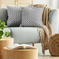 thumbnail image 5 of Ambesonne Modern Throw Pillow Cover 2 Pack, Minimalist Brushstokes, 20", Charcoal Grey White, 5 of 5