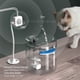 thumbnail image 3 of Fuente De Agua Para Gatos Fuente de agua para gatos de bebedor inteligente silencioso, 3 of 5