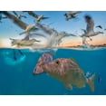 thumbnail image 2 of Fitzharris, Tim 14x12 Gold Ornate Wood Framed with Double Matting Museum Art Print Titled - Snapper and gulls-Coral Coast-Western Australia, 2 of 4