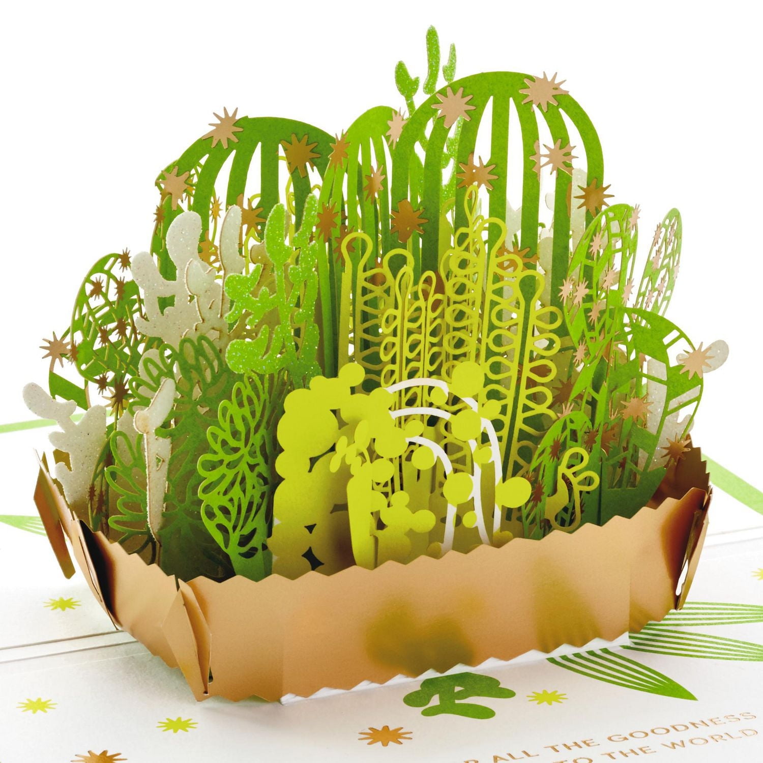 Carte Signature de remerciement en relief – Paper Wonder de Hallmark – Plante succulente (Carte pour la Journée des infirmiers/infirmières, et pour les professeurs)