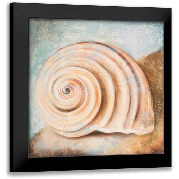 Pinto, Patricia 12x12 Black Modern Framed Museum Art Print Titled - Seashell Collection IV