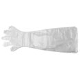 thumbnail image 2 of Haofy Guantes Veterinarios De Brazo Largo, Guantes De Plástico Desechables Para El Cuidado Del Ganado, Guantes Multiusos Para Vendaje De Campo, 2 of 7