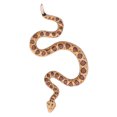 thumbnail image 4 of Modelo de ciclo de crecimiento de serpiente de cascabel, modelo de ciclo de vida, juguetes educativos cognitivos para niños, 4 of 8