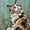 Cat01, variant on Smiling Orange Tabby Cat Framed Wall Art, Solid Wood Frame Cozy Warm Oil Painting Print, Cute Cat Wall Decor for Bedroom Bathroom, 12x16in