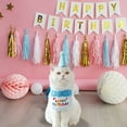 thumbnail image 5 of Pet Collars Product Category Indoor Outdoor Festive Birthday Theme Accessory for Cats and Dogs TPR Polyester, 5 of 5