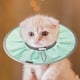 thumbnail image 2 of Recovery Collar for Cats, Adjustable Cat Collar, Protective Cat Collar Cone, Cone for Dogs, Cats, Kittens and Puppies for Wound Care Light green S, 2 of 5