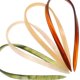 thumbnail image 3 of TABLETREANDS 4Ud Horquillas Decorativas U En Acetato Para Peinados En Fiestas Y Uso Diario, 3 of 8