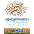 thumbnail image 3 of Bird Seed CountryMax Backyard Safflower 22.5kg Bulk, 3 of 5