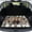 Bear American Flag Camo, variant on Jiueut Wolf Mountain Moon Forest Print Universal Car Trunk Mat 29" x 39", Anti-Slip Easy to Clean Trunk Protective Mat, Sporty Vehicle Interior Accessories Suitable for Most Car Models