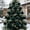 Green, variant on Pnmtdaia Brown Cream Velvet Flocked Christmas Ball Ornaments Set, 15 Pcs Shatterproof Textured Hanging Baubles for Xmas Tree Rustic Neutral Holiday Home Decor
