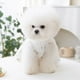 thumbnail image 5 of Vestido de princesa de doble capa con encaje floral transpirable para cachorros, perros, primavera y verano, ropa para mascotas de tamaño pequeño y mediano, 5 of 5