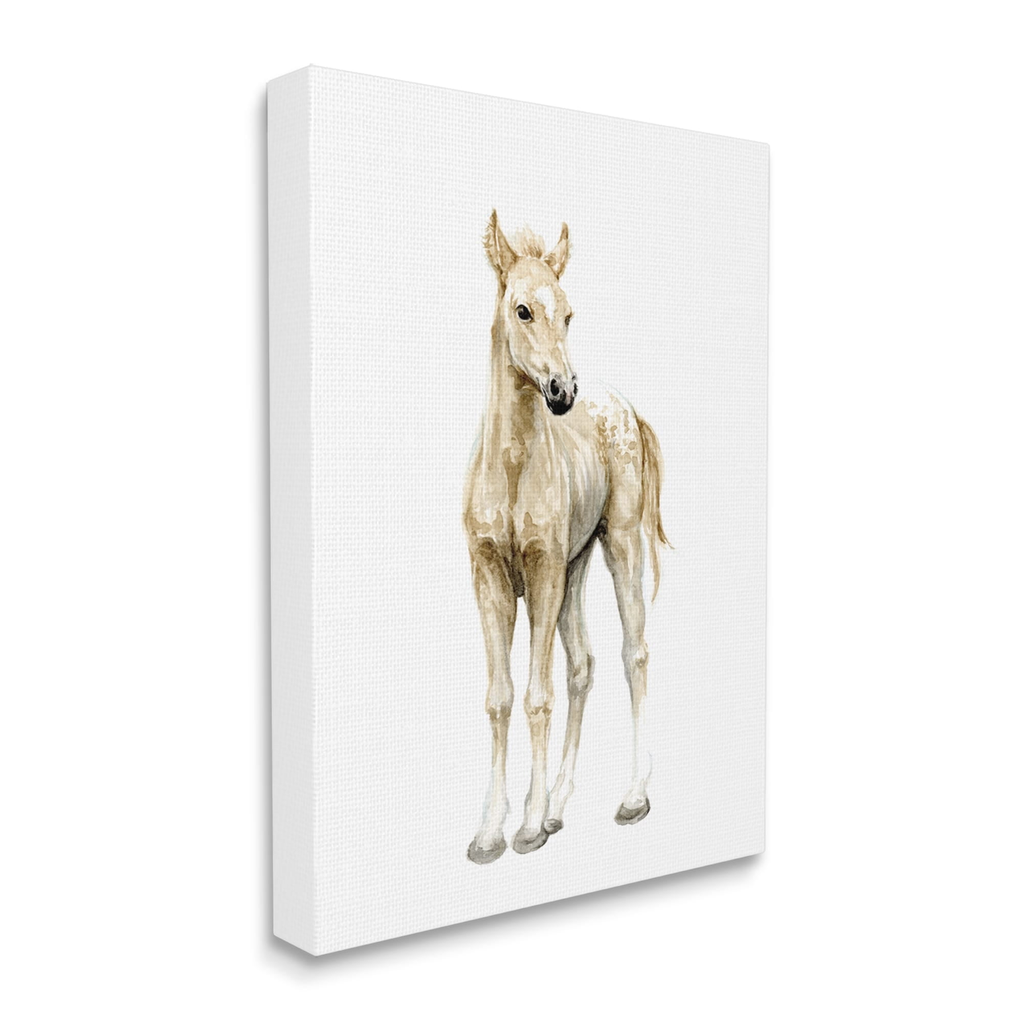 Stupell Industries Baby Horse Foal Watercolor Portrait Kids' Nursery Animal, 16 x 20,Design by Fox Hollow Studios