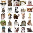 thumbnail image 3 of Lindas pegatinas de gatos, divertidas pegatinas de memes de gatos para adultos, 50 hojas de k divertidos, 3 of 5