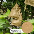 thumbnail image 5 of Uxcell Fruit Protection Bag 18x15cm Paper Rectangle Fruit Cover Bag Yellow/Black 100 Pack, 5 of 5