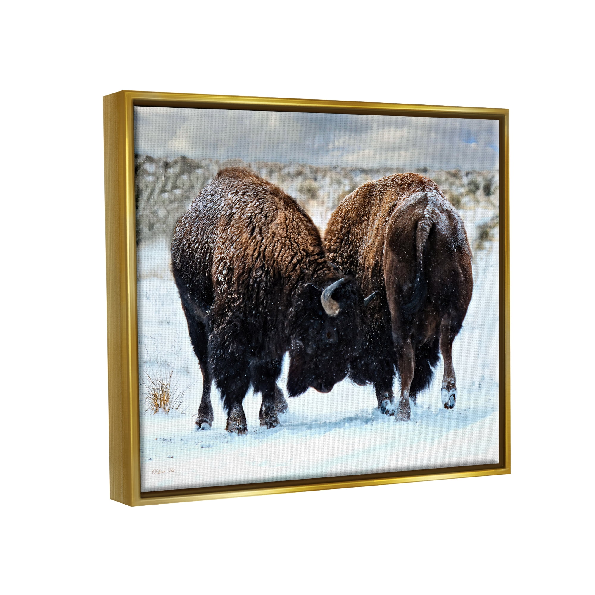 Stupell Industries Fighting Bison Snow Scene Animals & Insects Photography Gold Floater Framed Art Print Wall Art, 31 x 25