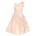 thumbnail image 3 of LiiYii Girls Sequin Tulle Mesh Dress Ruffle Birthday Party Tutu Formal Dress A Line Wedding Pageant Apricot 16, 3 of 5