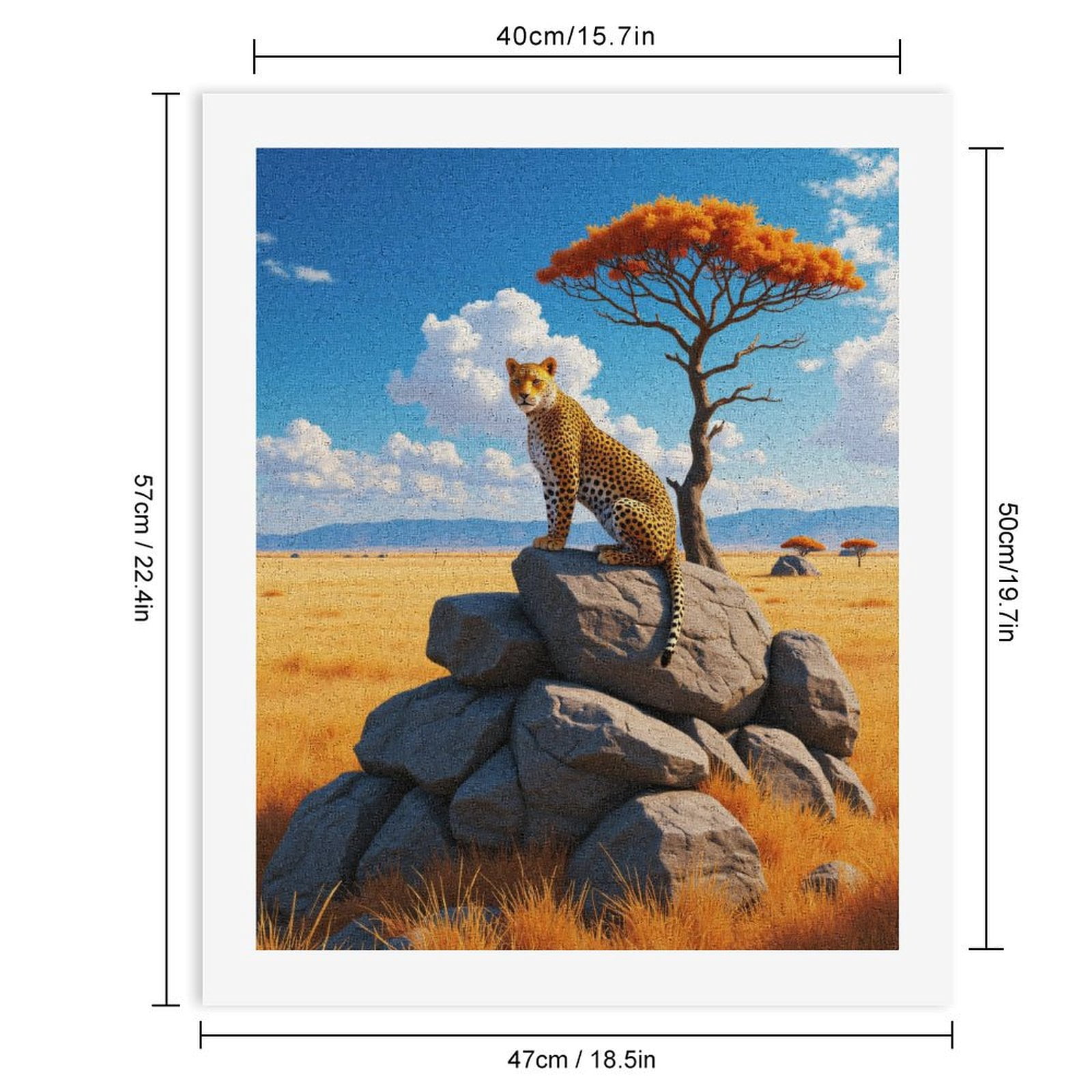 Paint by Numbers Kit for Adults, Cheetah Rocks Savannah Scenery Paint by Numbers, Easy Paint by Numbers Kit for Adults Beginner, DIY Adult Paint by Number Kits on Canvas, Home Decor