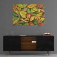 thumbnail image 3 of Epic Art 'Tropical Close Up II' by Tim O'Toole, Acrylic Glass Wall Art, 36"x24", 3 of 5
