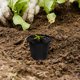 thumbnail image 4 of CRILSTYLEO 10Ud Macetas Decorativas De Plástico Negro Para Cultivo De Suculentas Y Plantas Variadas, 4 of 7