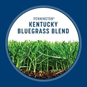 Pennington Kentucky Bluegrass Northern Grass Seed Mix for Sun to Partial Shade, 7 lb