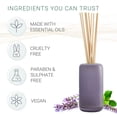 thumbnail image 5 of SpaRoom Handblown Glass Reed Diffuser - Lavender and Bergamot - Great Aromatherapy Diffuser for Office Decor, Apartment Decor, and Room Décor, 5 of 5