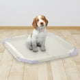 thumbnail image 5 of Richell PAW TRAX Mesh Potty Holder in Lavender, Training Tray for Dogs, 5 of 5
