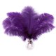 thumbnail image 1 of Plumas de avestruz Soarer para manualidades, 15 unidades, 30 a 35 cm, color morado, 1 of 6