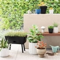 thumbnail image 3 of Square Indoor Outdoor Planter Pot White 6"x6", 3 of 4