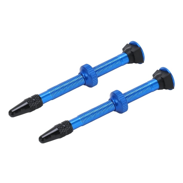 Presta deals valve walmart