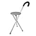 thumbnail image 3 of Travelon Walking Seat and Cane in One, Grey, One Size, 3 of 4