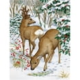 thumbnail image 1 of Carolines Treasures ASA2004GF European Roe Deer Western Roe Deer Flag Garden Size, 1 of 3