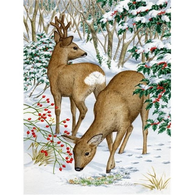 Carolines Treasures ASA2004GF European Roe Deer Western Roe Deer Flag Garden Size