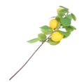 thumbnail image 4 of Shisuyan Artificial Stems Yellow 1Pack 19.7x5.5in, 4 of 9
