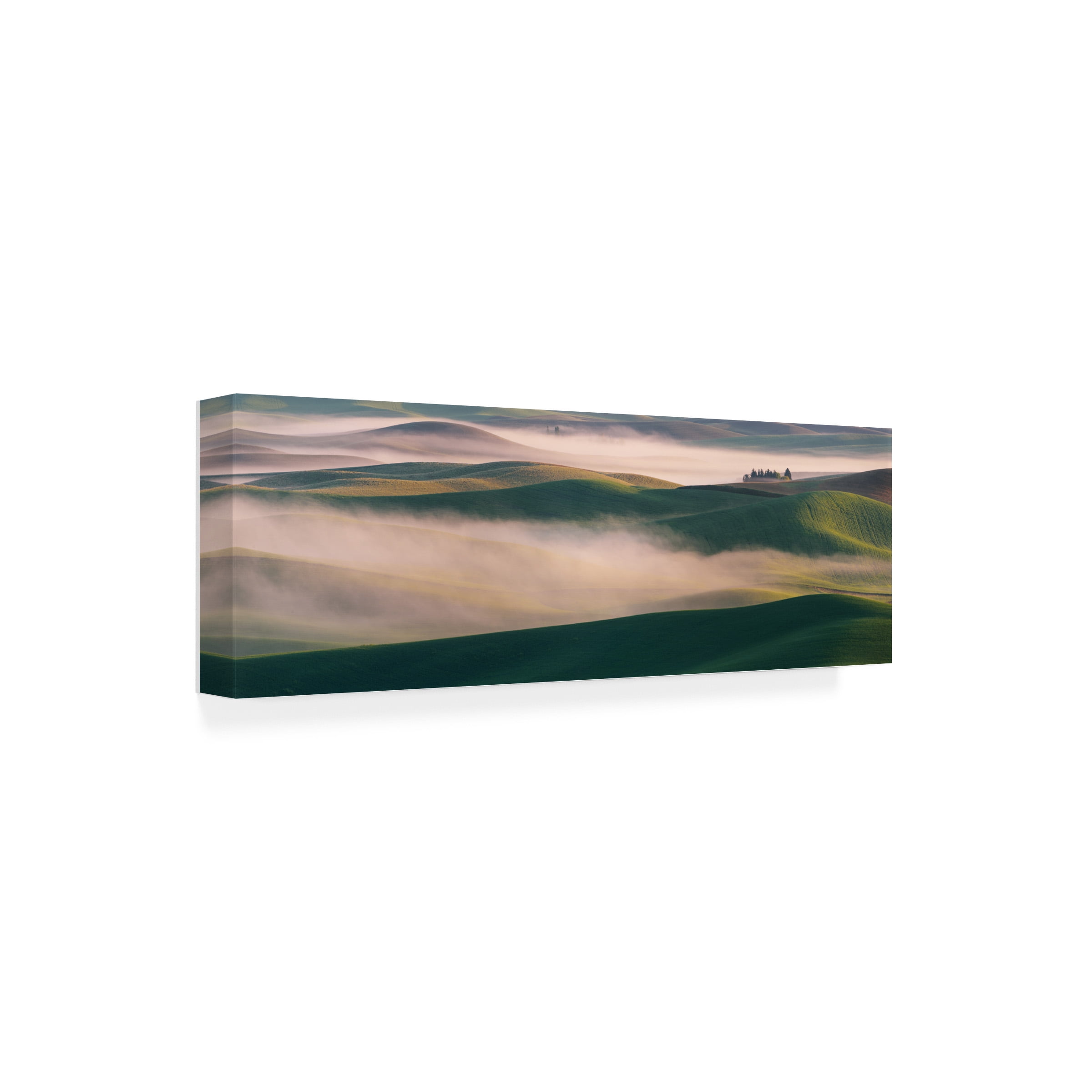 Austin 'Dream Land In Morning Mist 2' Canvas Art