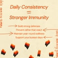 thumbnail image 3 of Immun by Gruns Low Sugar Immunity Support Gummies for Adults with Vitamin C, MCT Oil, Ashwagandha, Elderberry, and Zinc, Contains Prebiotic Fiber for Gut Health, 12 Servings, 3 of 14