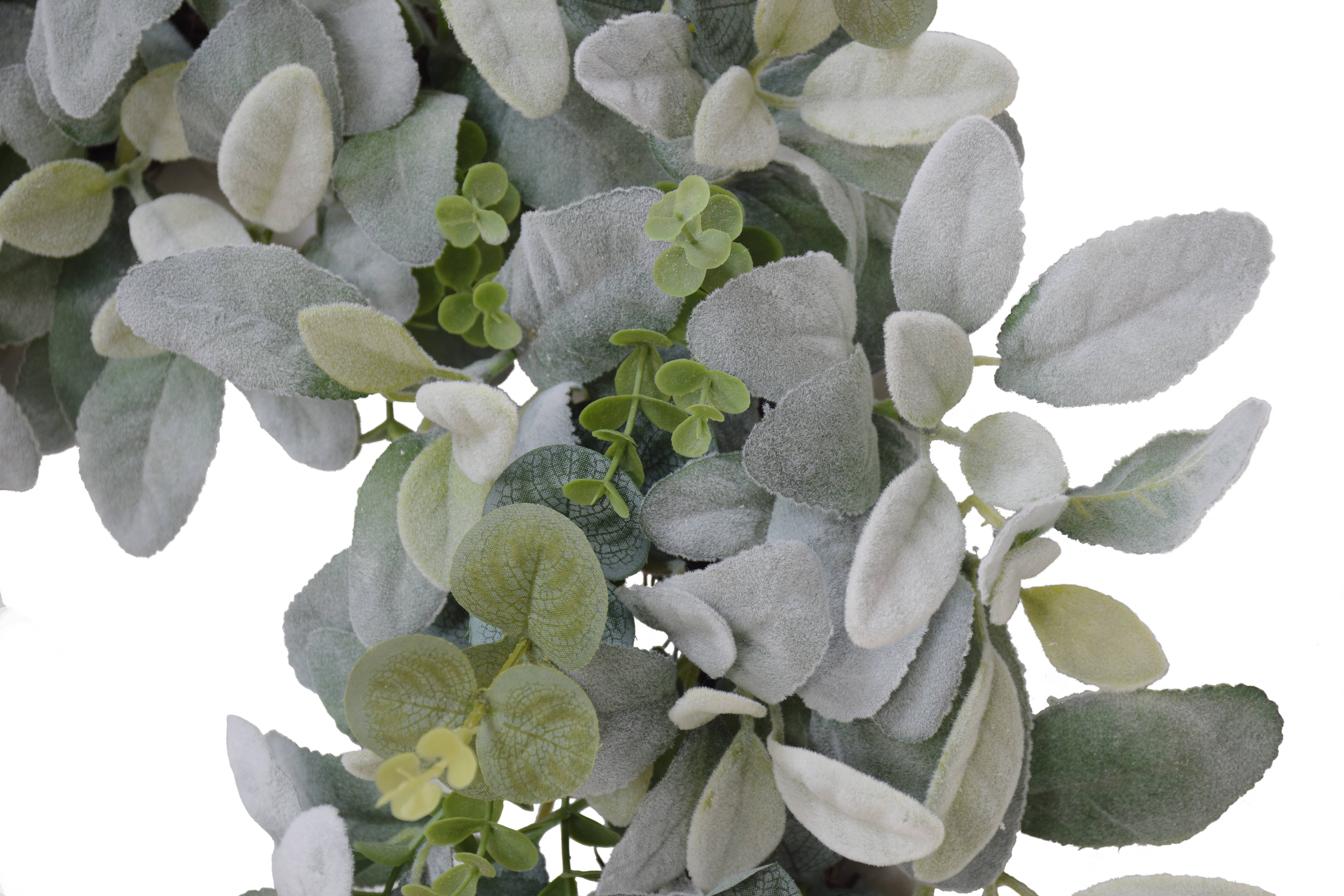 22" Vibrant Puleo International Artificial Lambs Ear Wreath