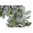 thumbnail image 2 of 22" Vibrant Puleo International Artificial Lambs Ear Wreath, 2 of 3