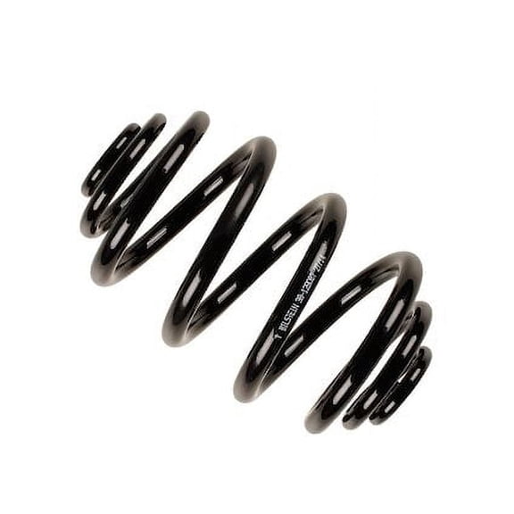 Rear Coil Spring - Compatible with 1998 - 1999 BMW 323is